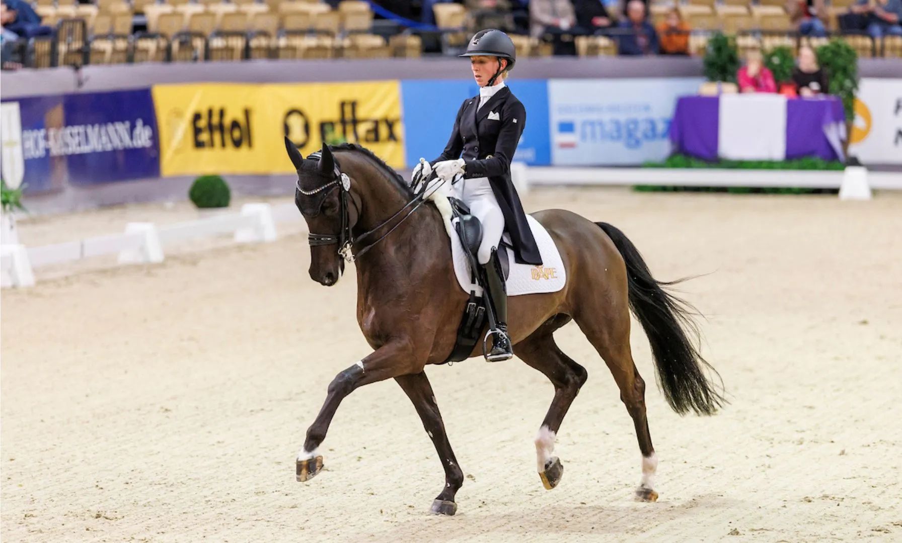 Greta Heemsoths Grand Prix-Hoffnung Anthrazit verstorben