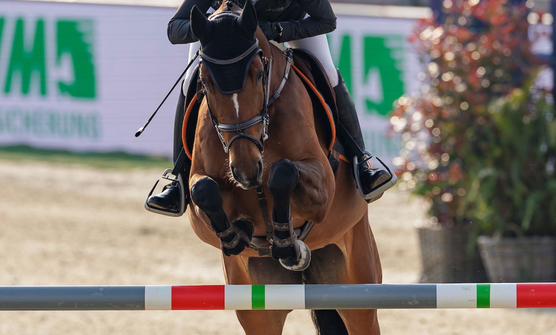 Brianna Leone & Qinto Vh Kouterhof Capture Their First Grand Prix Victory