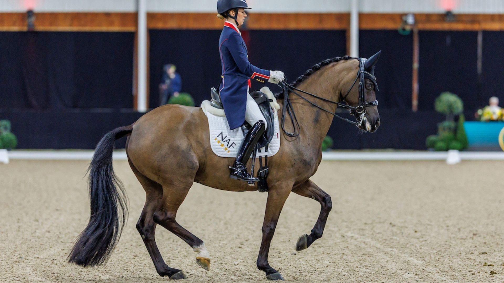 Vier KWPN-Hengste erhalten den "Keur"-Titel