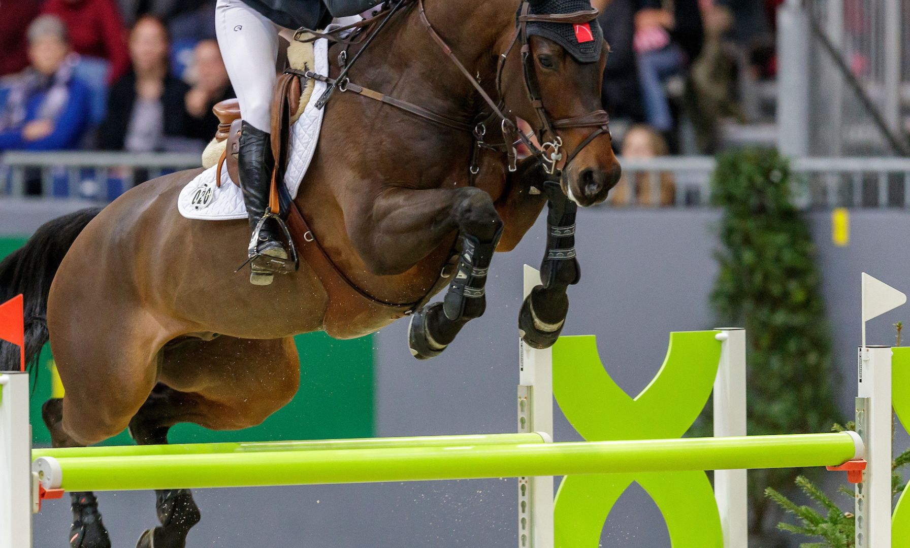 Zone 5 Repeats Gold in Platinum Jumper Championships