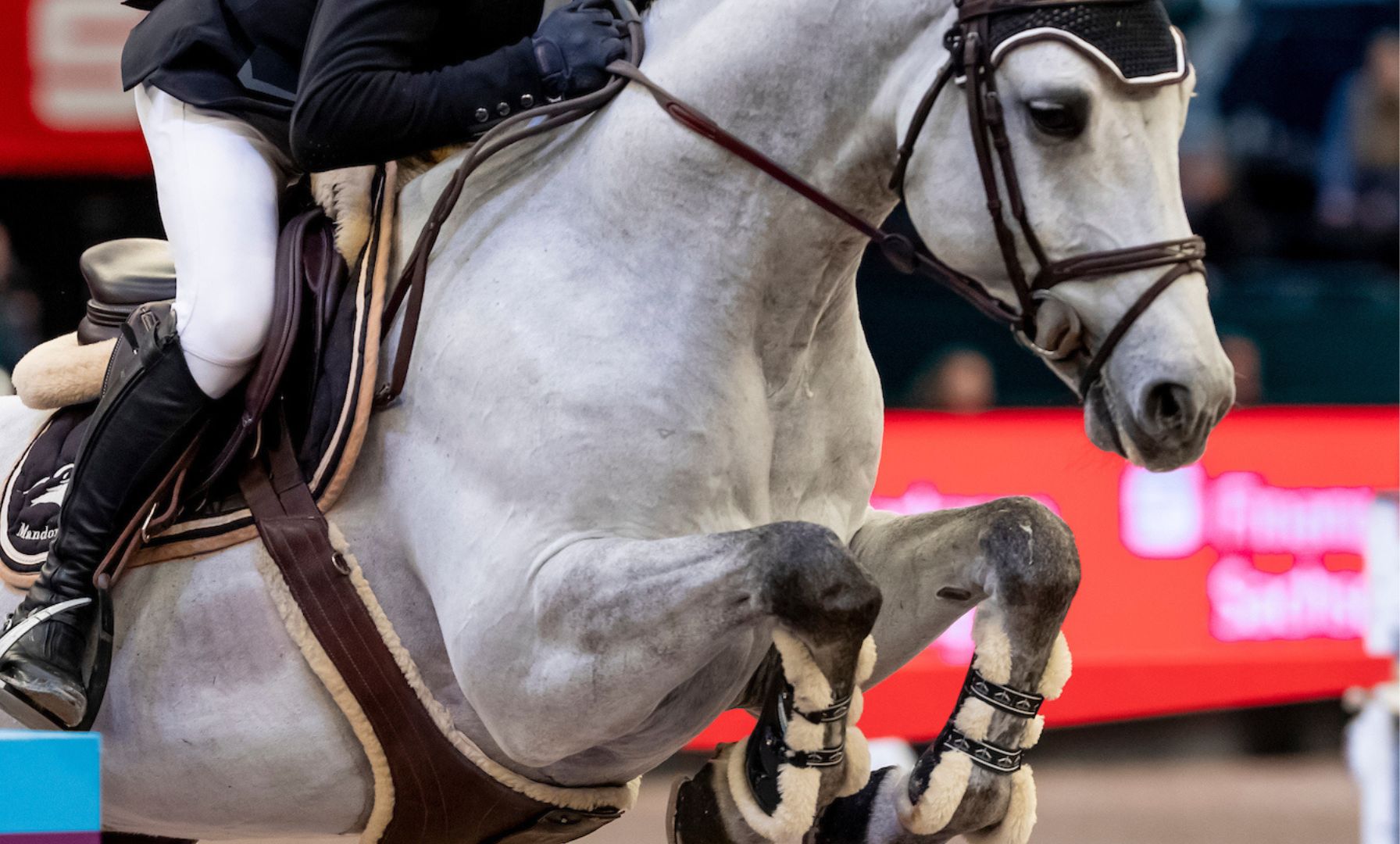 Robert Blanchette Achieves Double Victory in $15,000 Regional Grand Prix