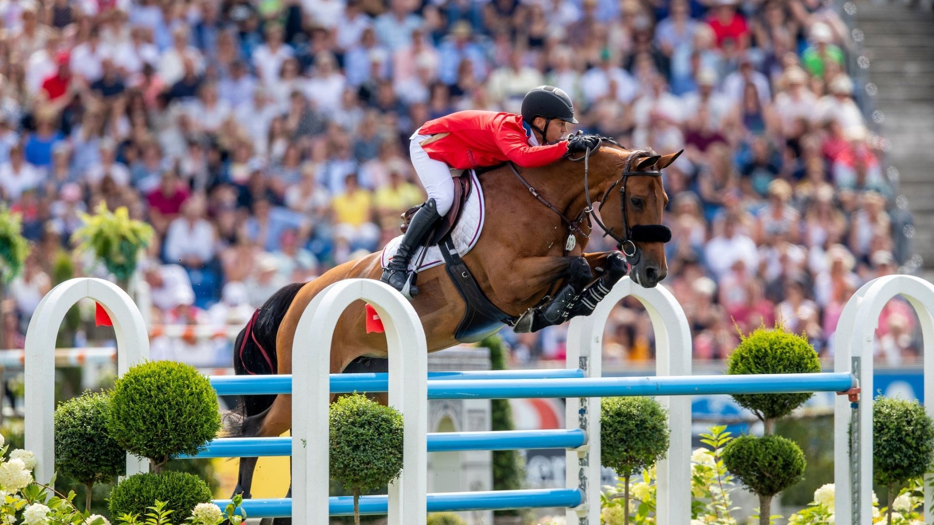 Weltweite Nummer 1 im Springen gewinnt erneut 