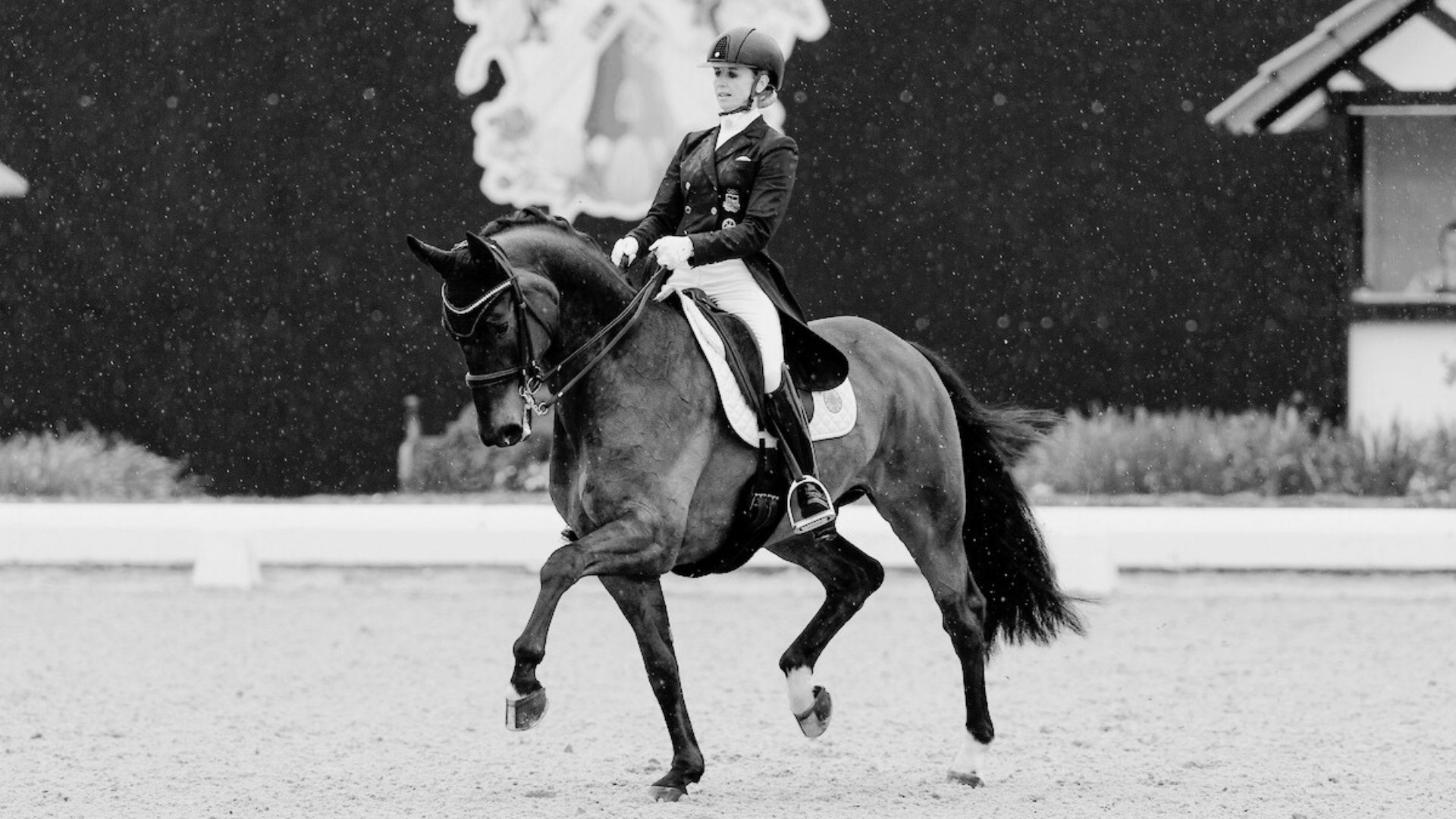 Jessica von Bredow-Werndls Diallo BB lebt nicht mehr