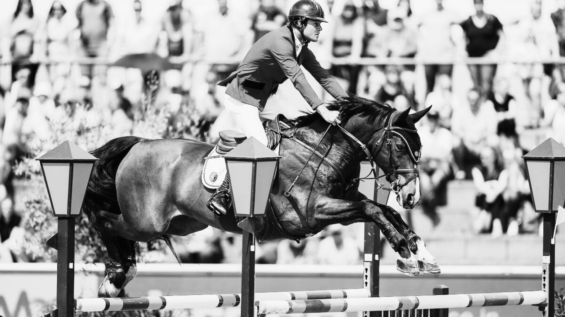 Springpferd Isidoor van de Helle im Alter von 17 Jahren verstorben