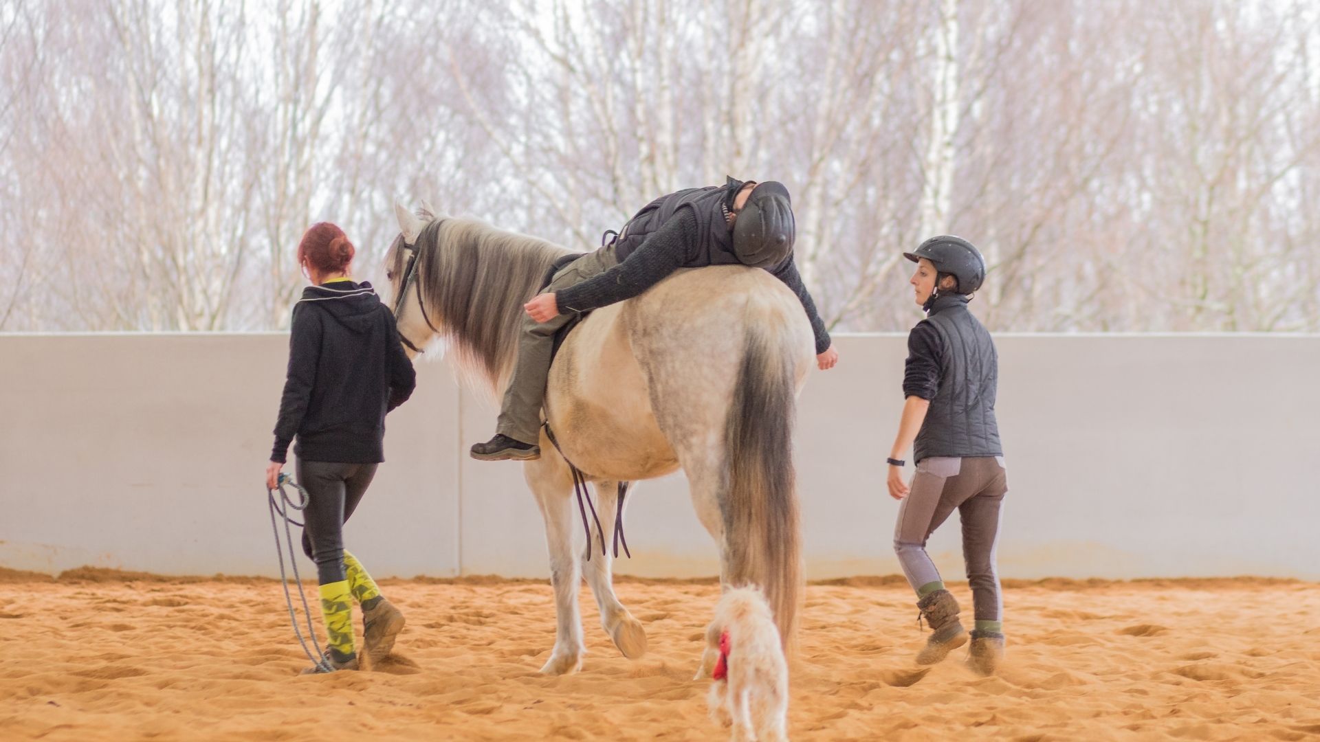 Reiteralter und Körperhaltung verändern die Bewegungsdynamik der Pferde im therapeutischen Reiten