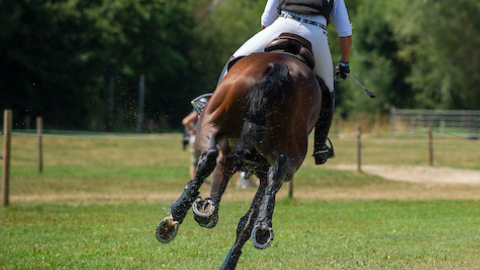 CCI3*-Sieg für Anna Haag in Schwaiganger