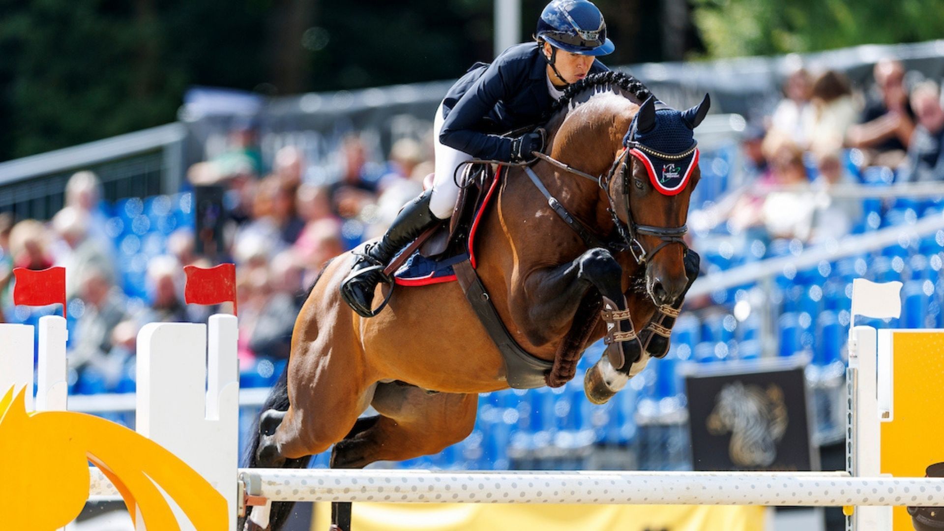 Arcassio siegt im Finale der fünfjährigen Springpferde