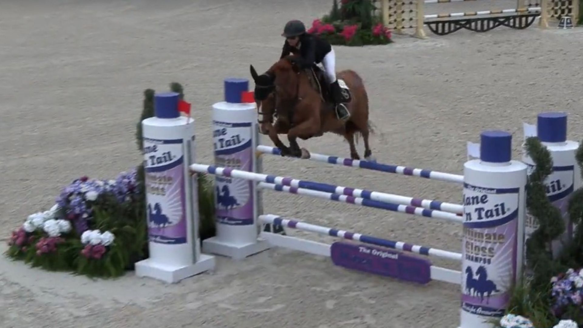 Sterling Malnick Shines in the $32,000 2* Speed at the Longines FEI Jumping World Cup™ Ocala