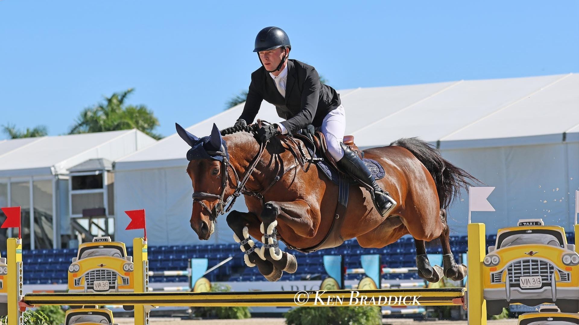 Ireland's Philip McGuane on My Lady van de Krekel win Wellington CSI3* 1.45m Power & Speed