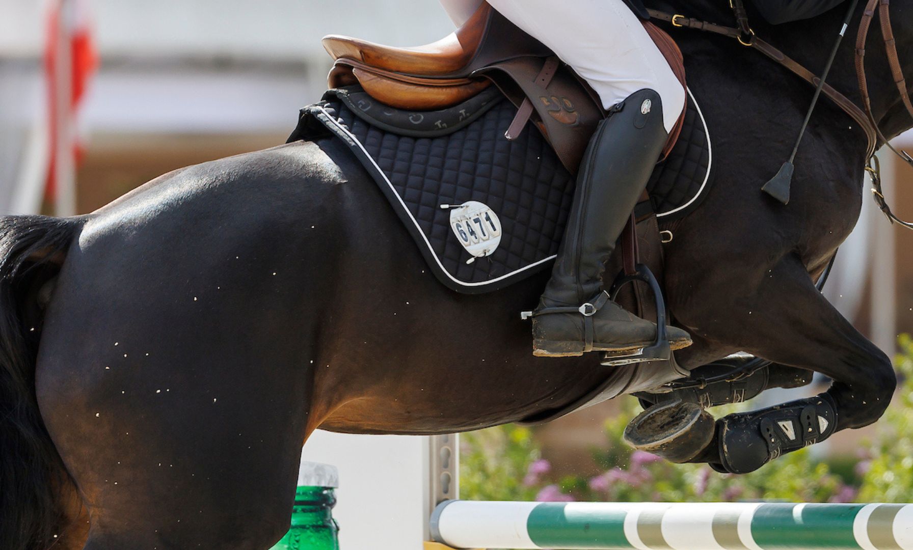 Bjorn Ikast and Chicharito LS Win $40,000 Spring Classic Grand Prix 
