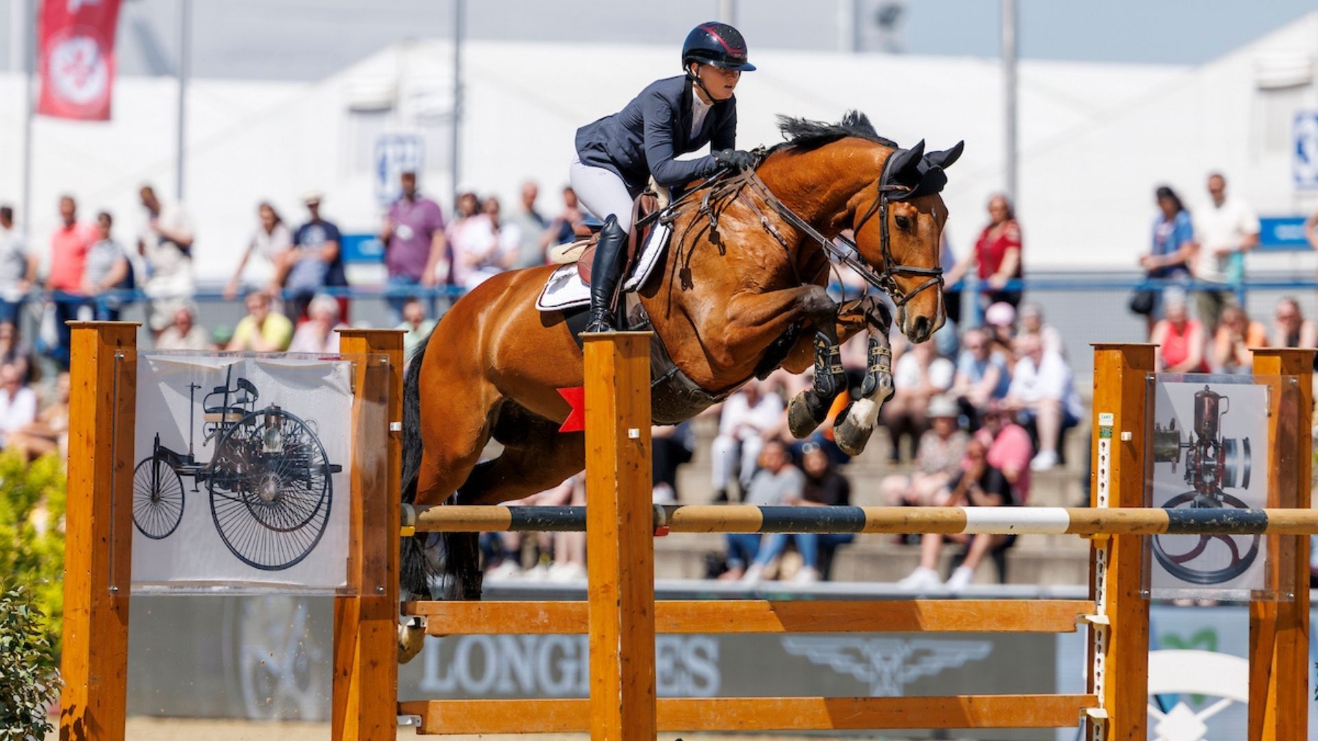 Lea Sophia Gut verstärkt Stall Meyer-Zimmermann