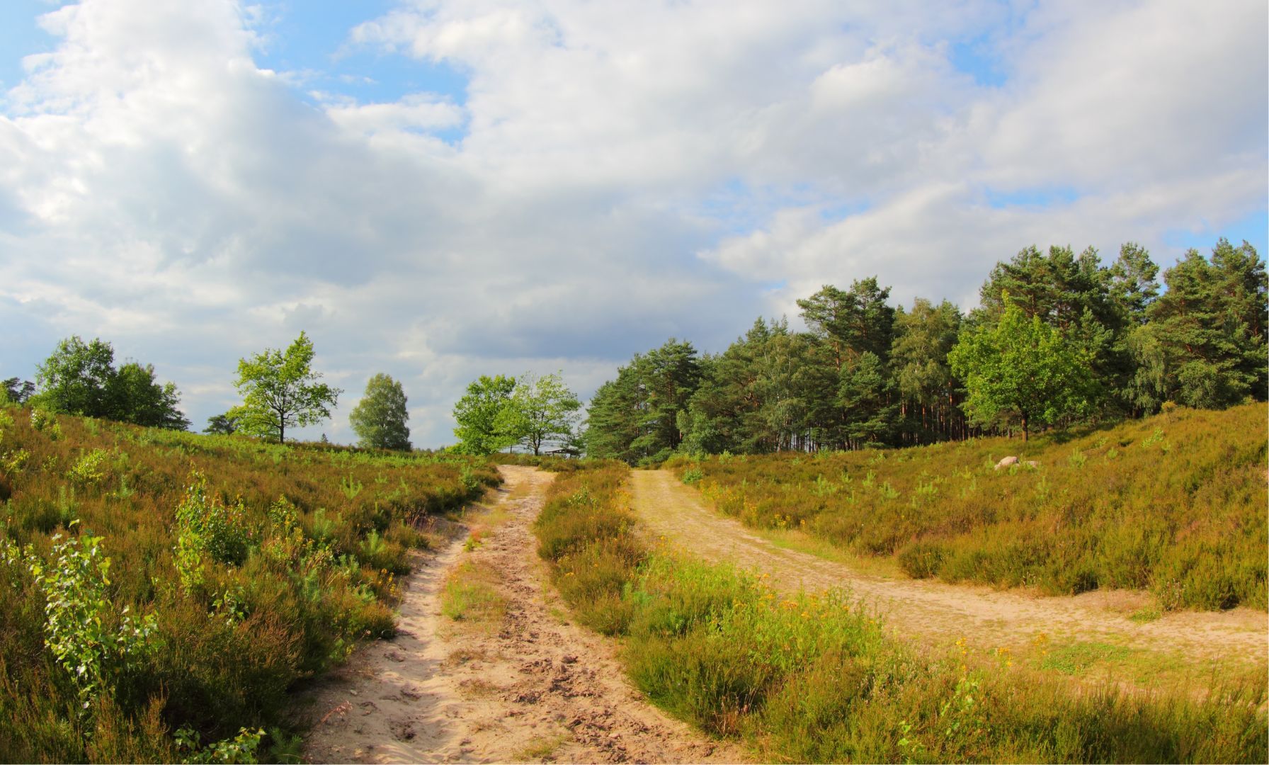 Zwangsversteigerung für Reitsportzentrum Massener Heide angesetzt