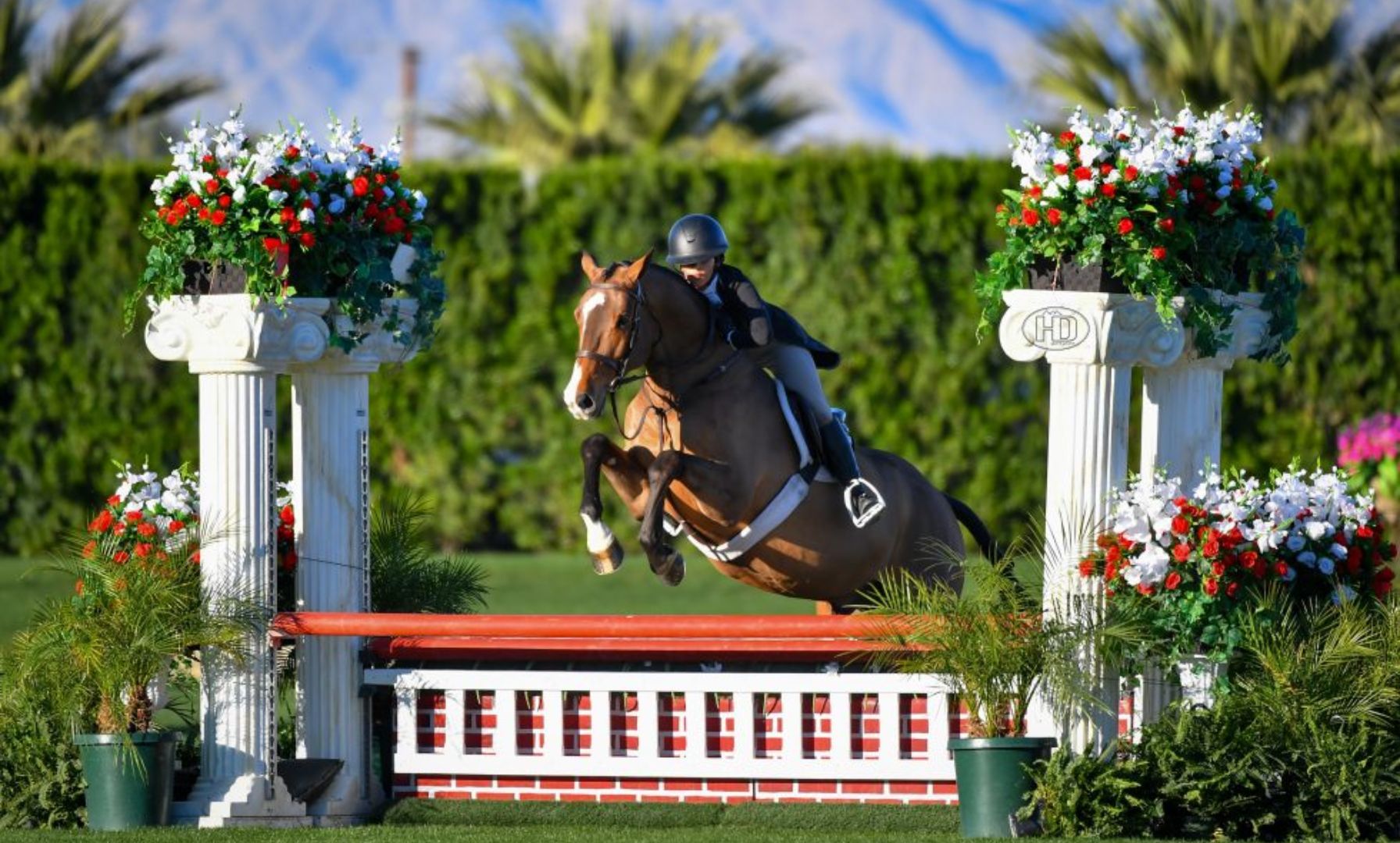 Davoudi Delivers Breakthrough Win in $10,000 USHJA National Hunt & Go Derby – Junior/Amateur