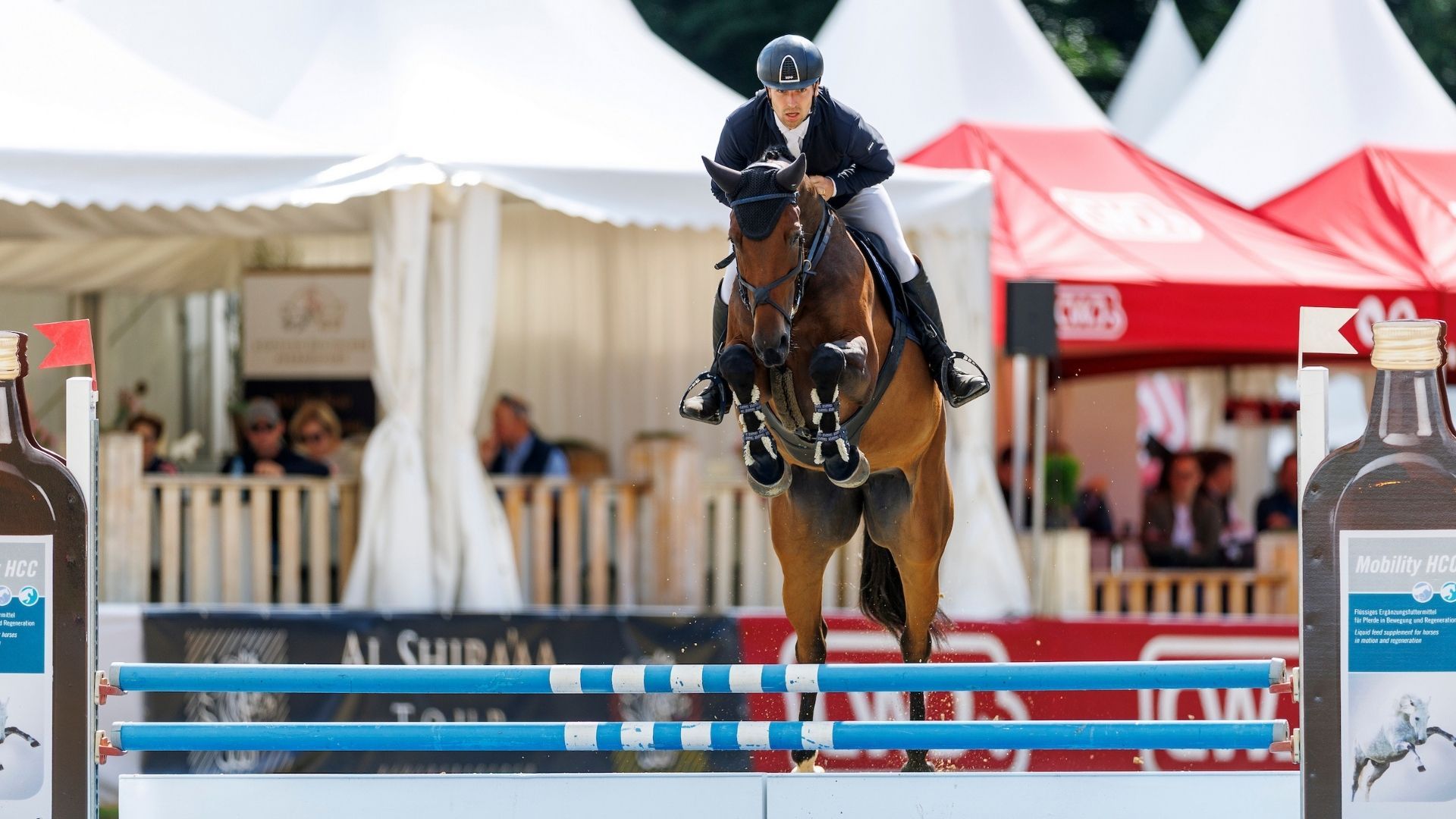 Consolation Class der FEI WBFSH Jumping World Breeding Championship für 5-jährige Springpferde