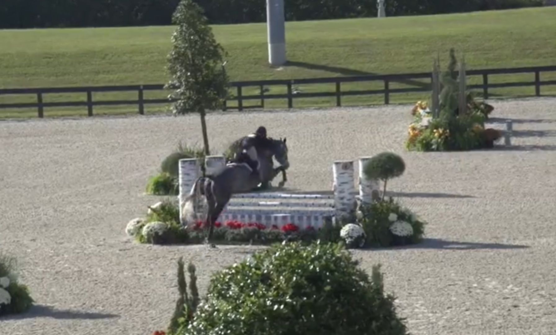 Megan Wexler and Gof Grey Goose Shine