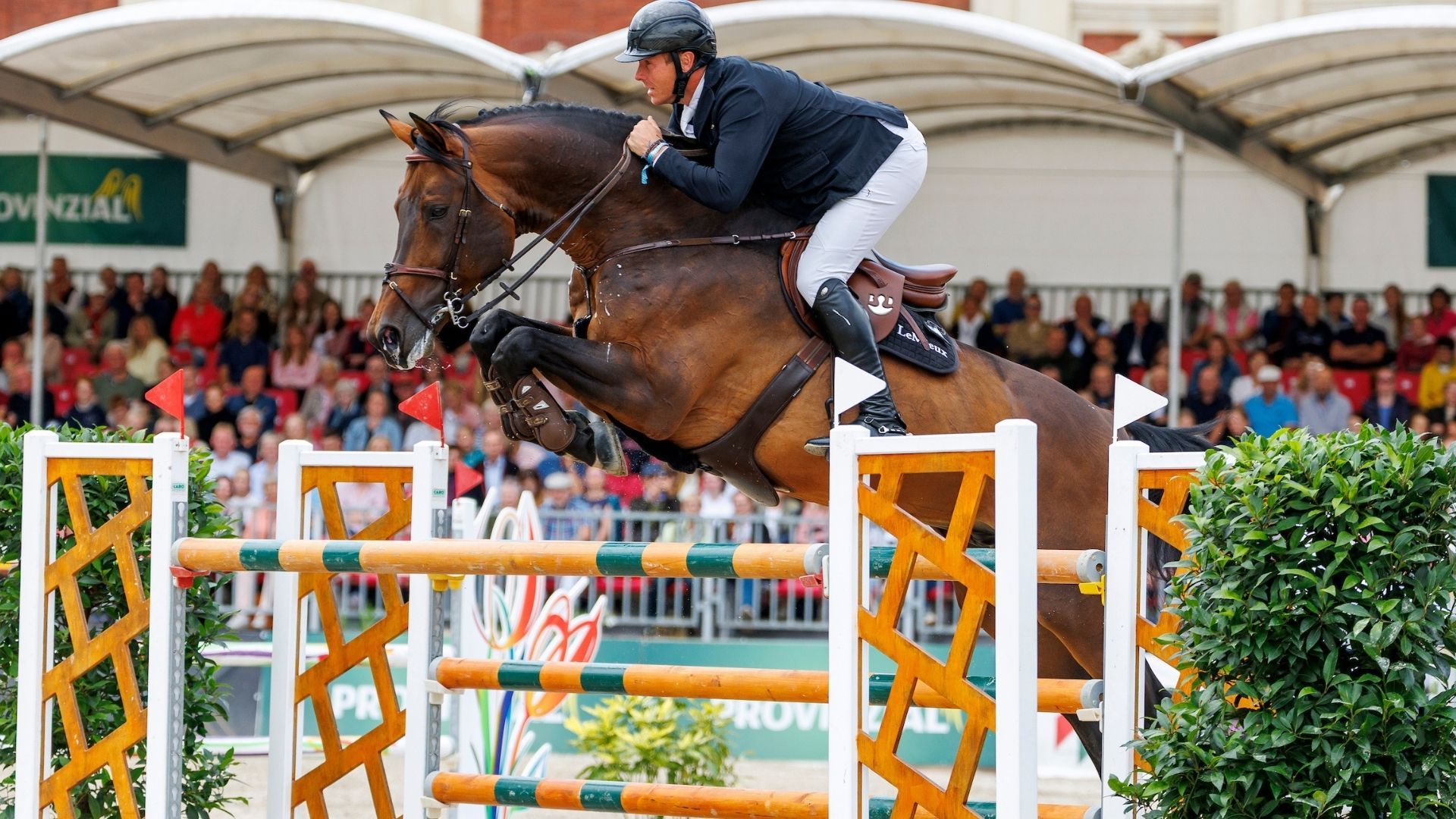 2 Siege an einem Wochenende: David Will erneut siegrich in Riyadh!