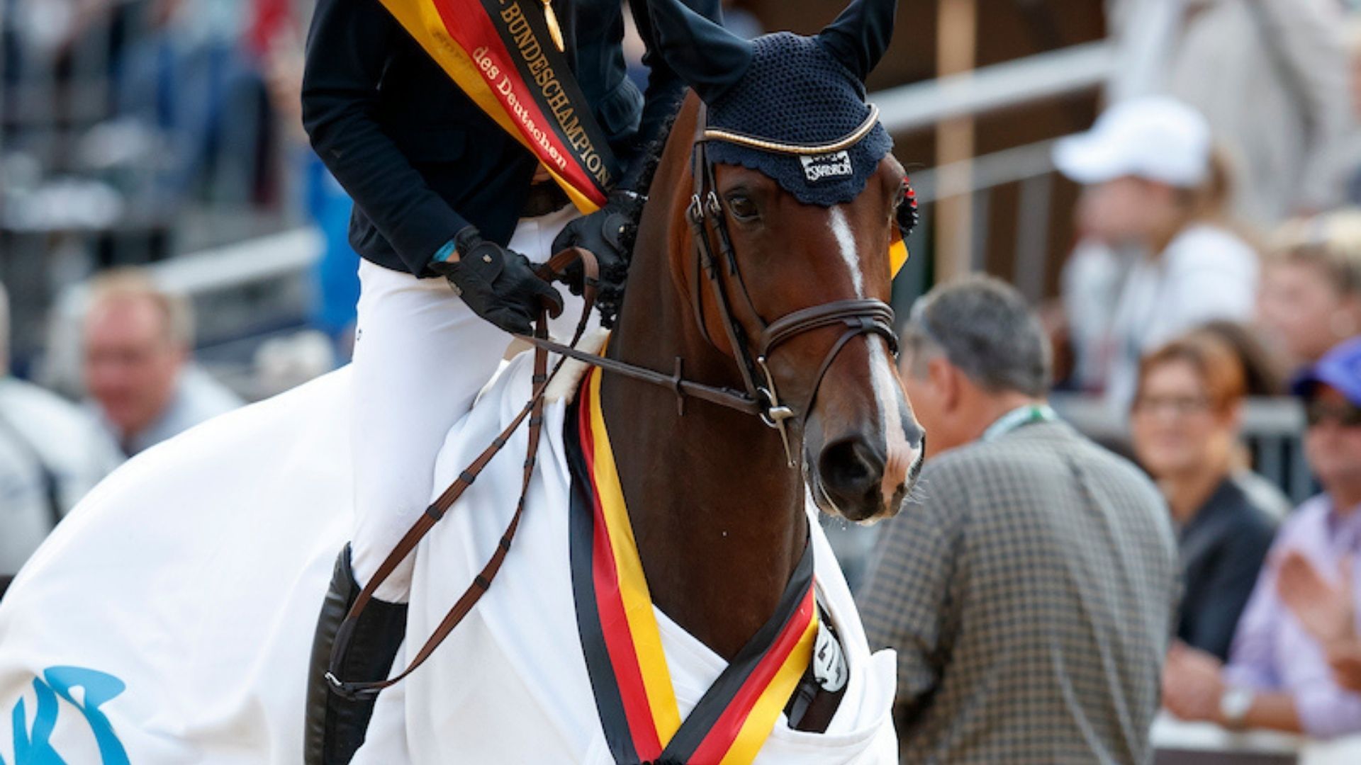 Die besten jungen Pferde und Ponys treffen sich in Warendorf