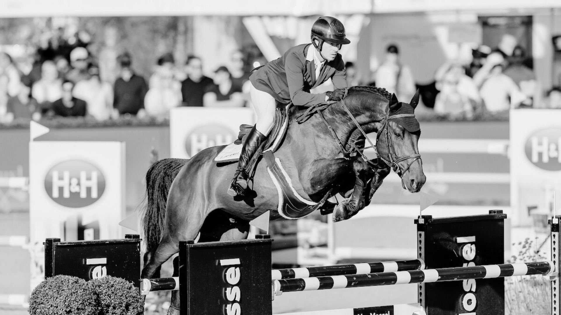 Christian Ahlmann's D'Aganix 2000 Z lebt nicht mehr