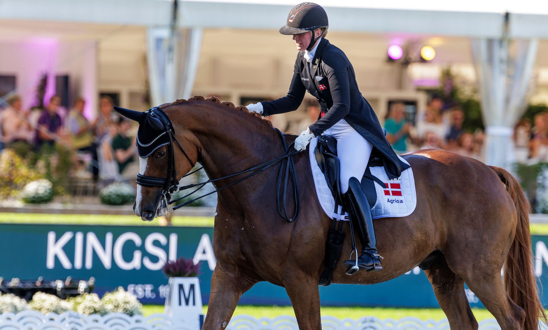 Finding Your Balance in the Saddle