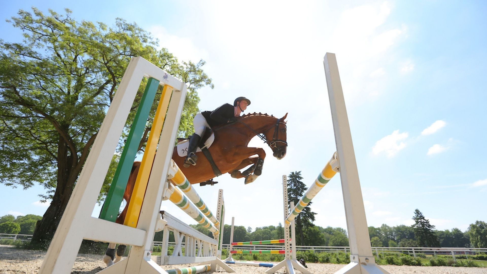 Top-Reiter bieten Trainingstage für Reitvereine an
