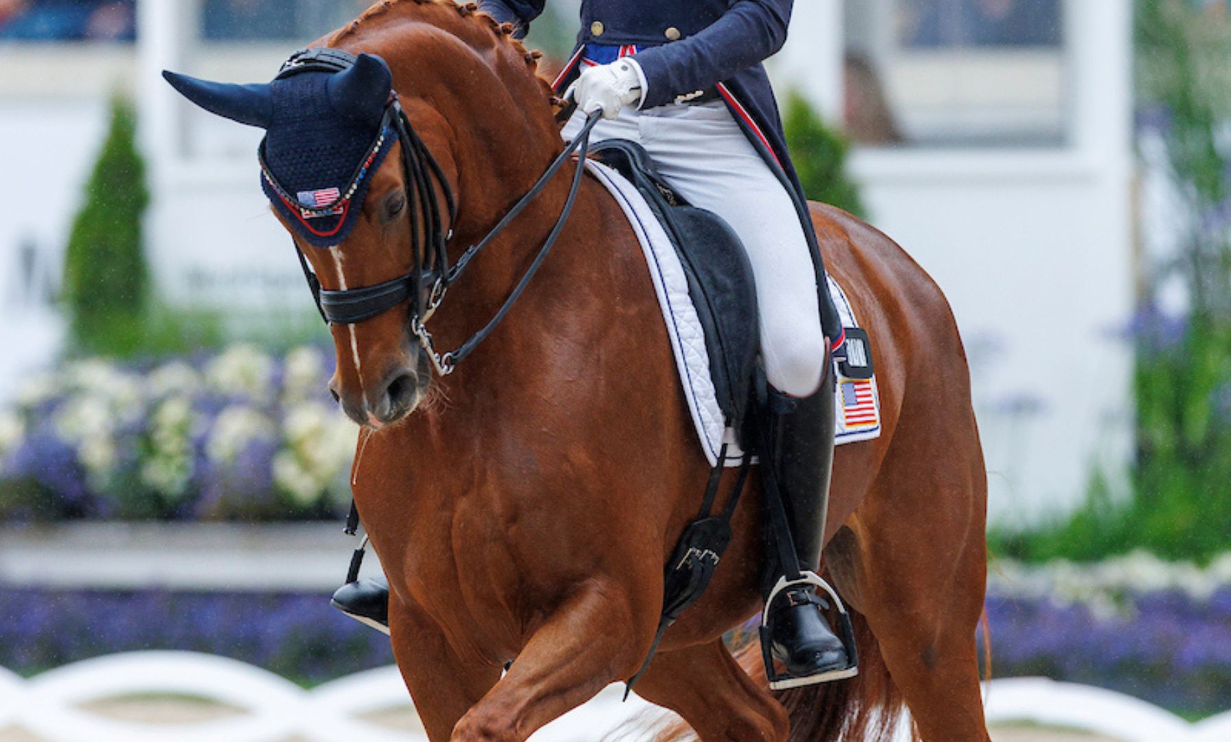 Benjamin Ebeling and Bellena Dance to Victory in the Grand Prix Freestyle
