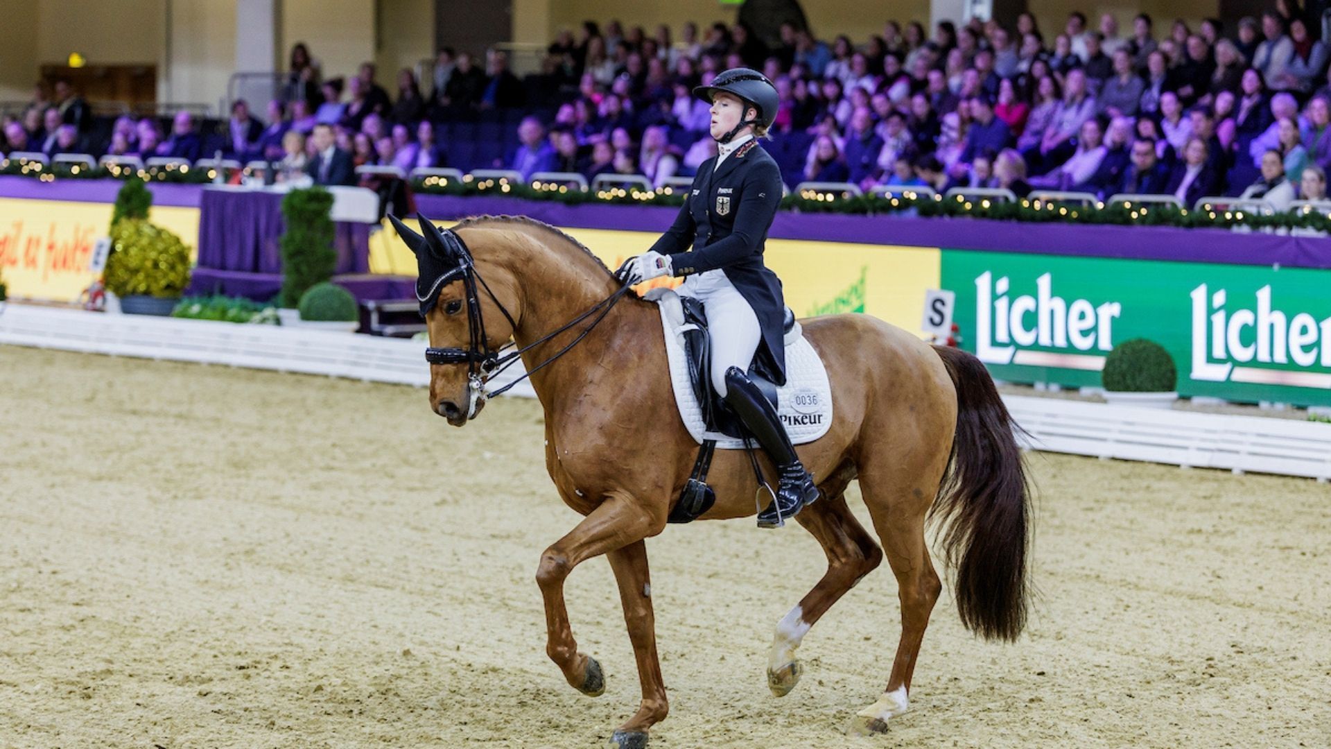 Katharina Hemmer muss Teilnahme am "Top 12 Dressage Final" absagen