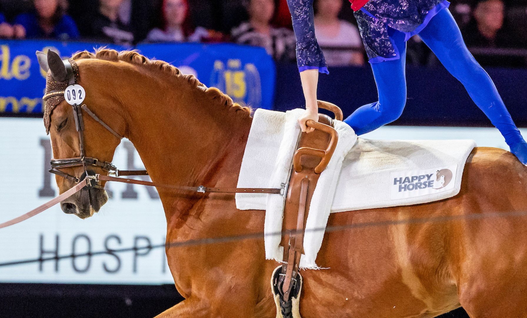 Kimmy Palmer Achieves Top Five Finish at FEI Vaulting World Cup Final