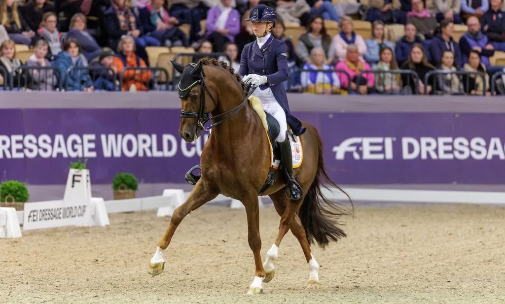 Kirsten Brouwer gibt Grand Prix-Pferd Foundation RR ab