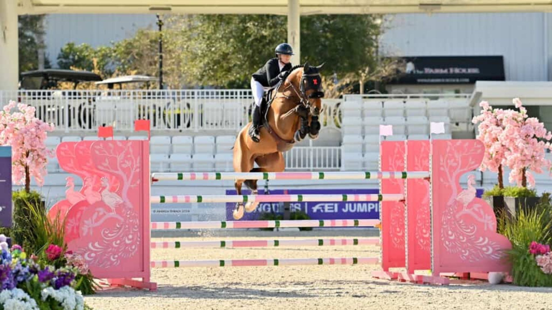 Erynn Ballard and Paladin 116 Top the $32,000 CSI2* Grand Prix Qualifier at WEC