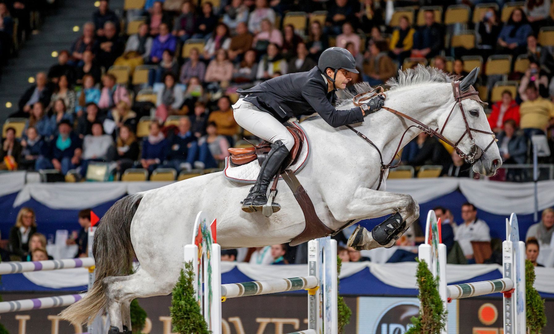 Emanuele Camilli wins Grand Prix in Mexico