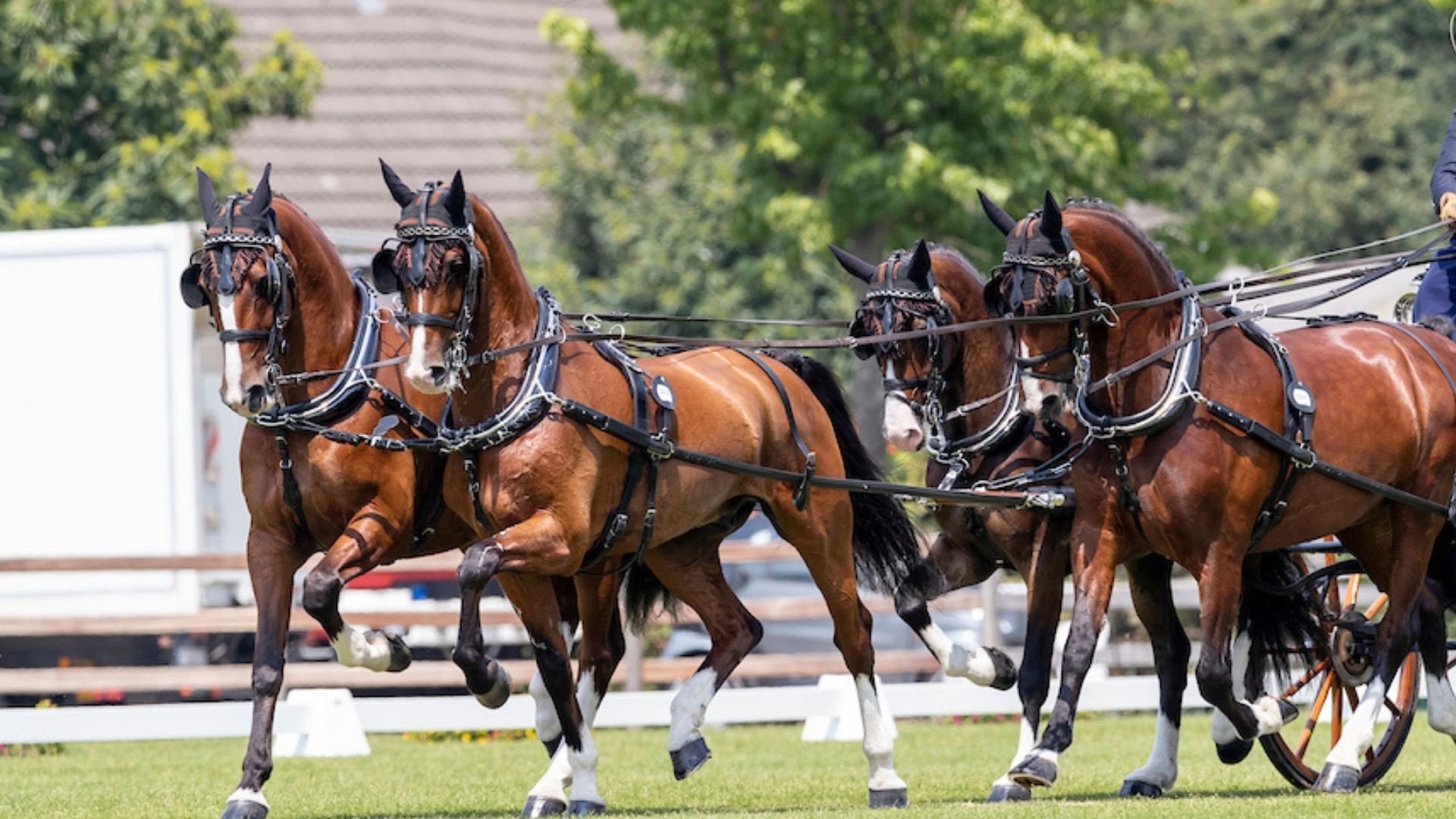 Traditionsfahrturnier begeistert mit Vielfalt und historischem Flair