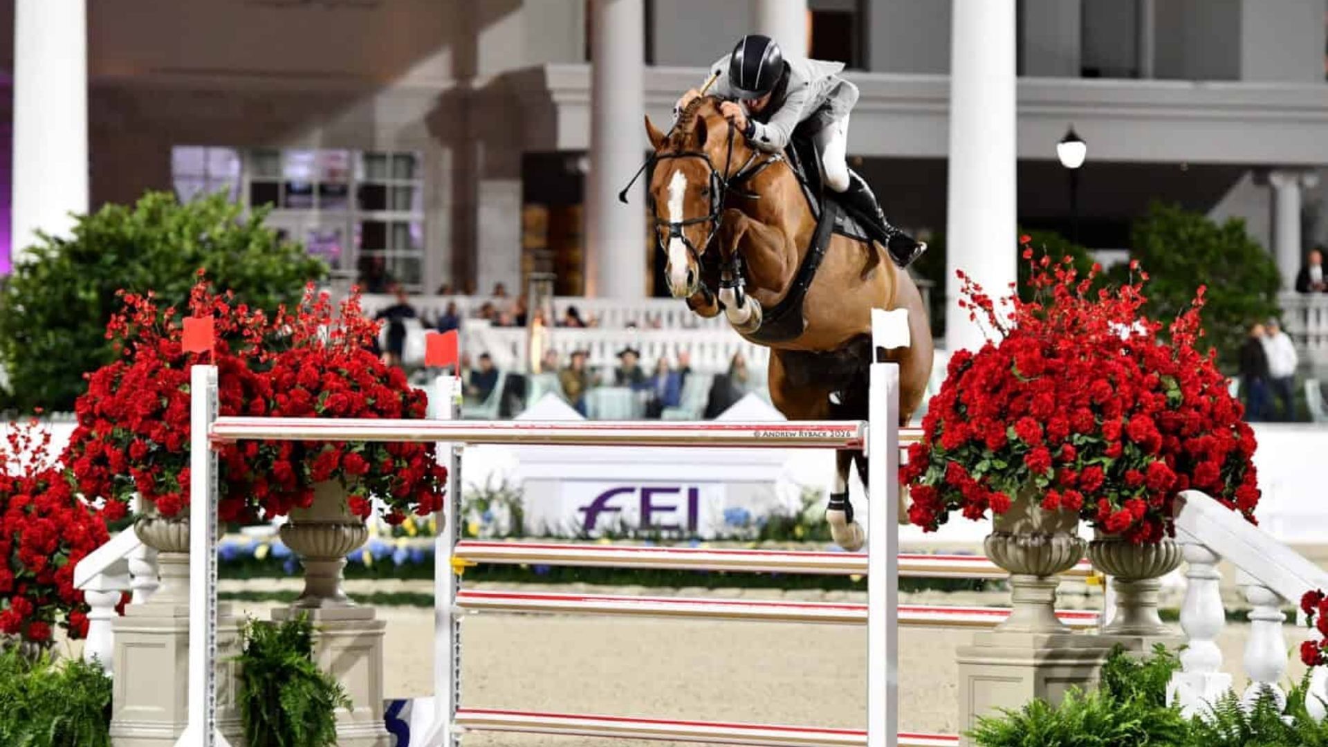 Aaron Vale and Carissimo 25 Capture First Place in the $200,000 Grand Prix at WEC Ocala