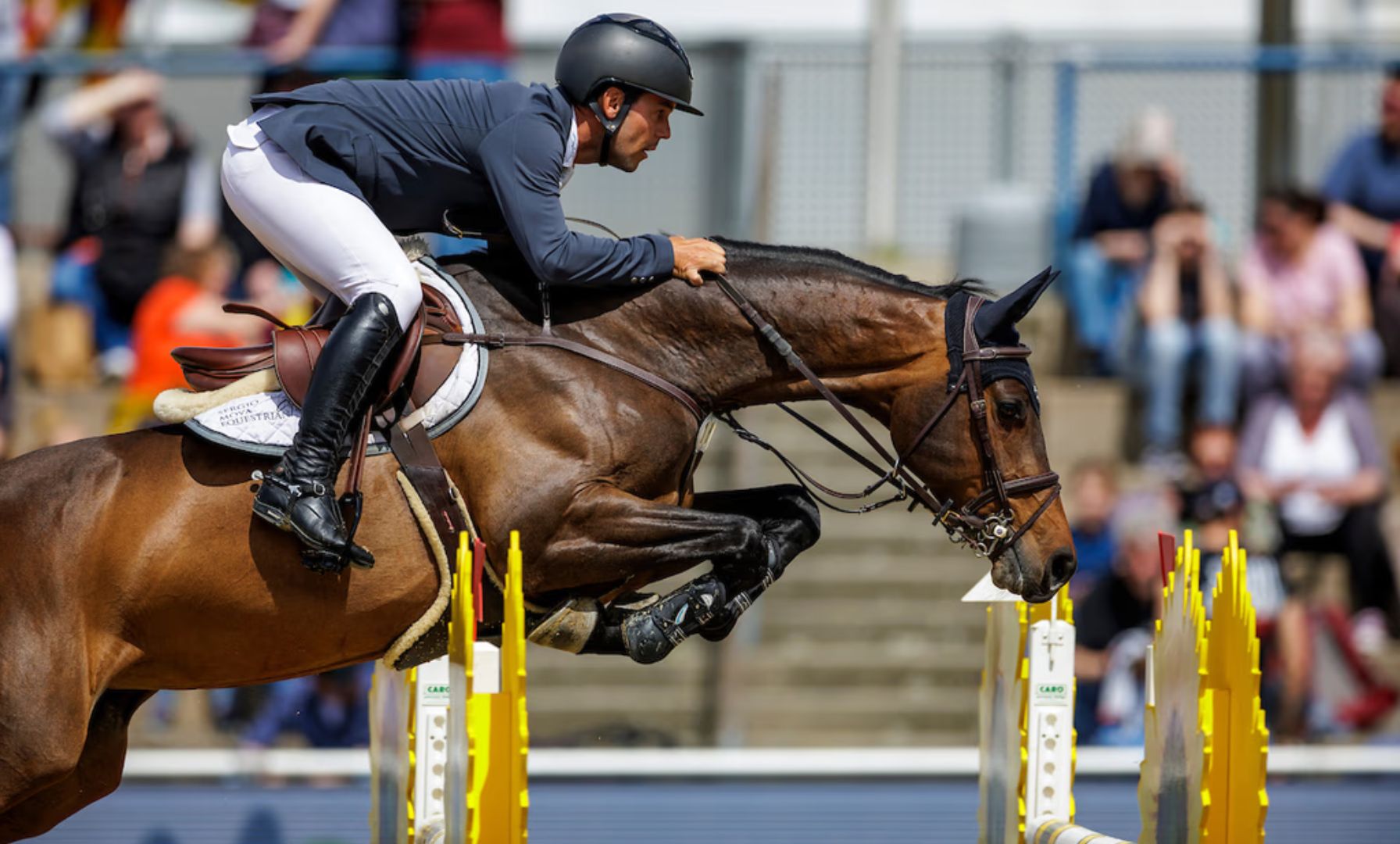 Kent Farrington and Myla Fly Across the Grass to Claim the $62,500 Arthramid Vet CSI3* Qualifier