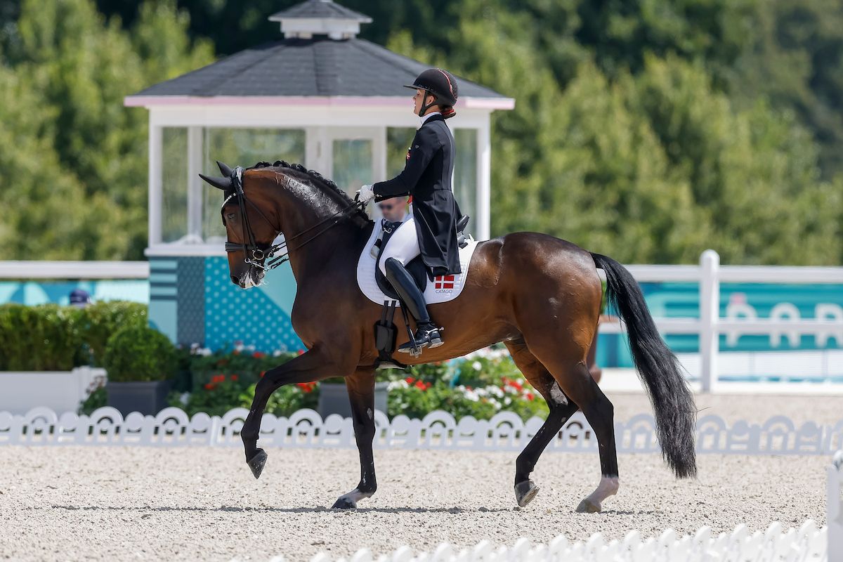 Cathrine Laudrup-Dufour sagt Start in Aachen mit Freestyle ab