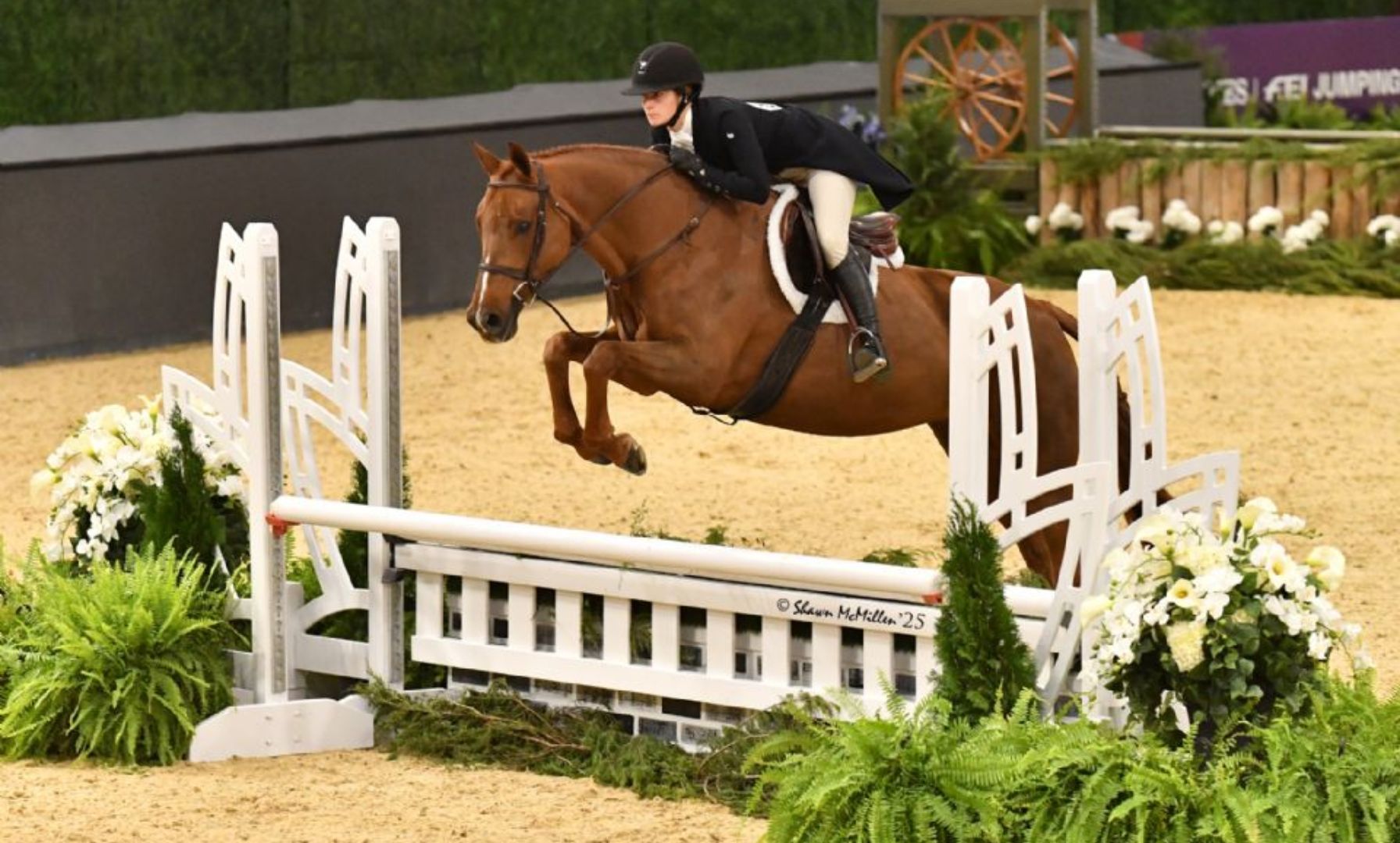 Casaccio and Freya d’Ambrel Secure Another Adult Hunter Title