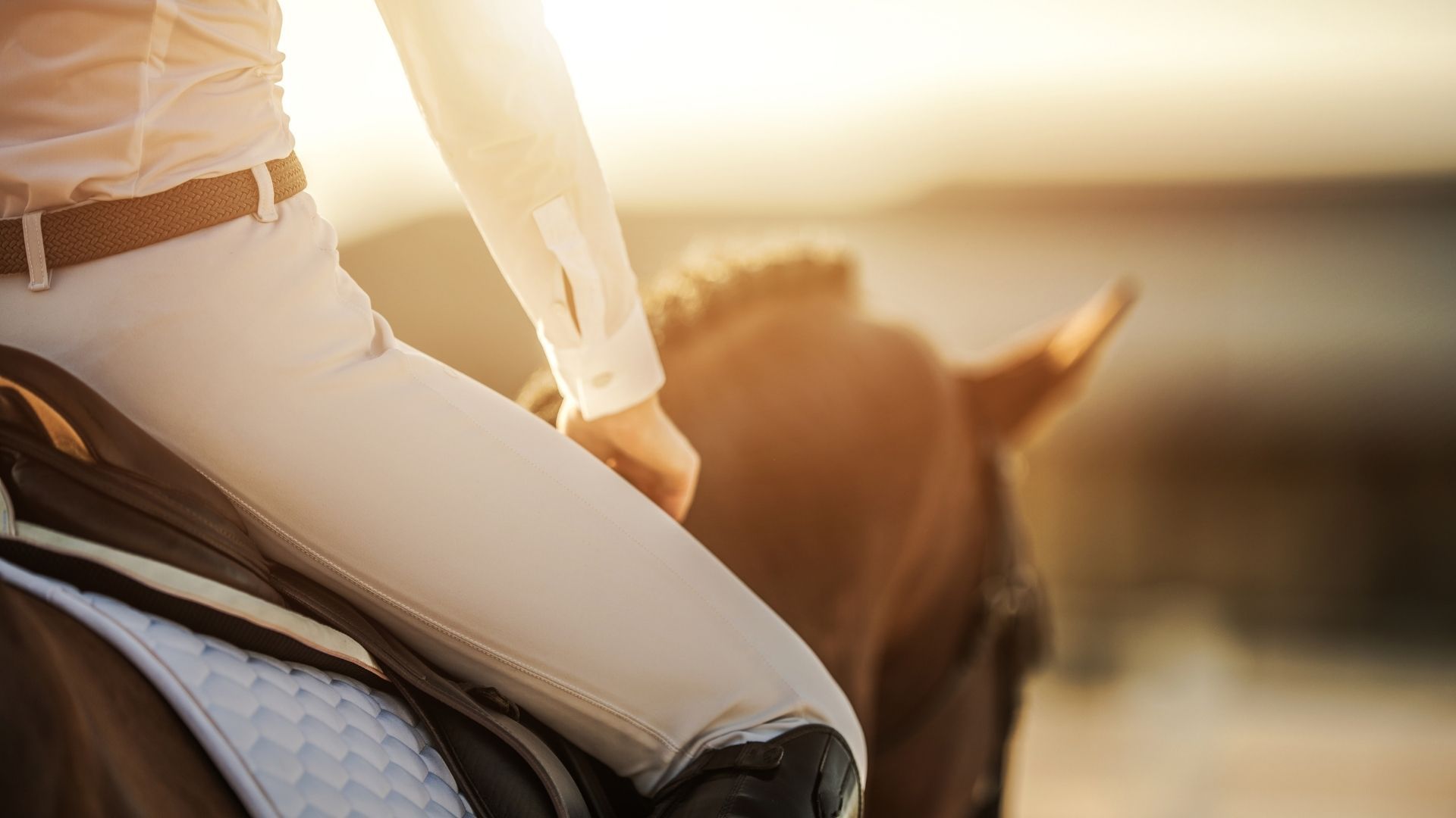 "Jungs ins Viereck": Lehrgang zur Förderung des männlichen Dressurnachwuchses