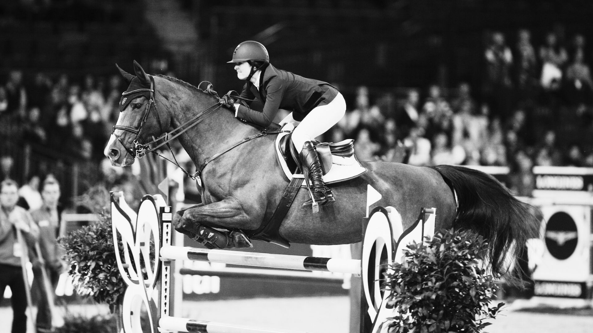 Reed Kesslers Olympiapferd Cylana verstorben