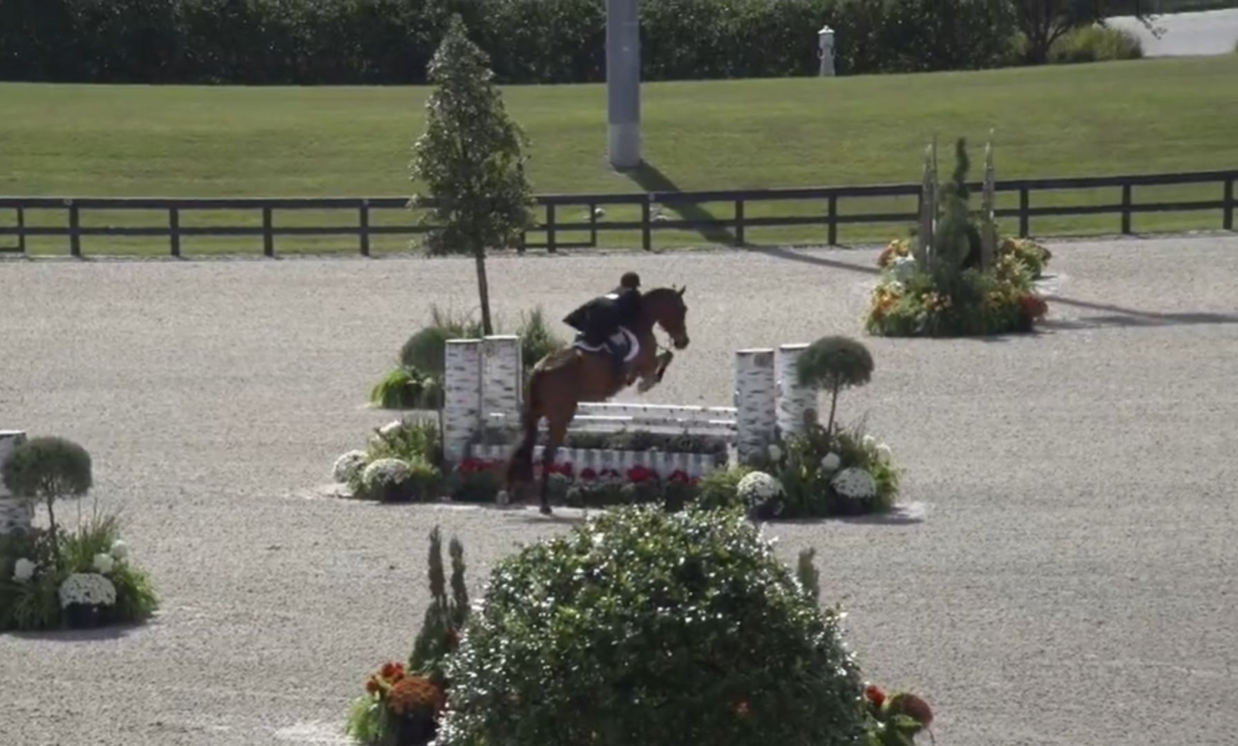 Alexandra Hird and Lord Carlino Capture the Win