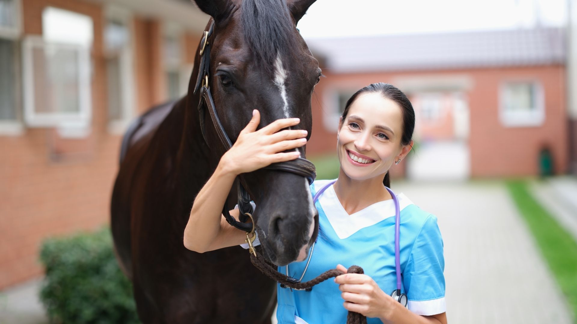 Böckmann präsentiert neuen Ambulanzanhänger für Pferde
