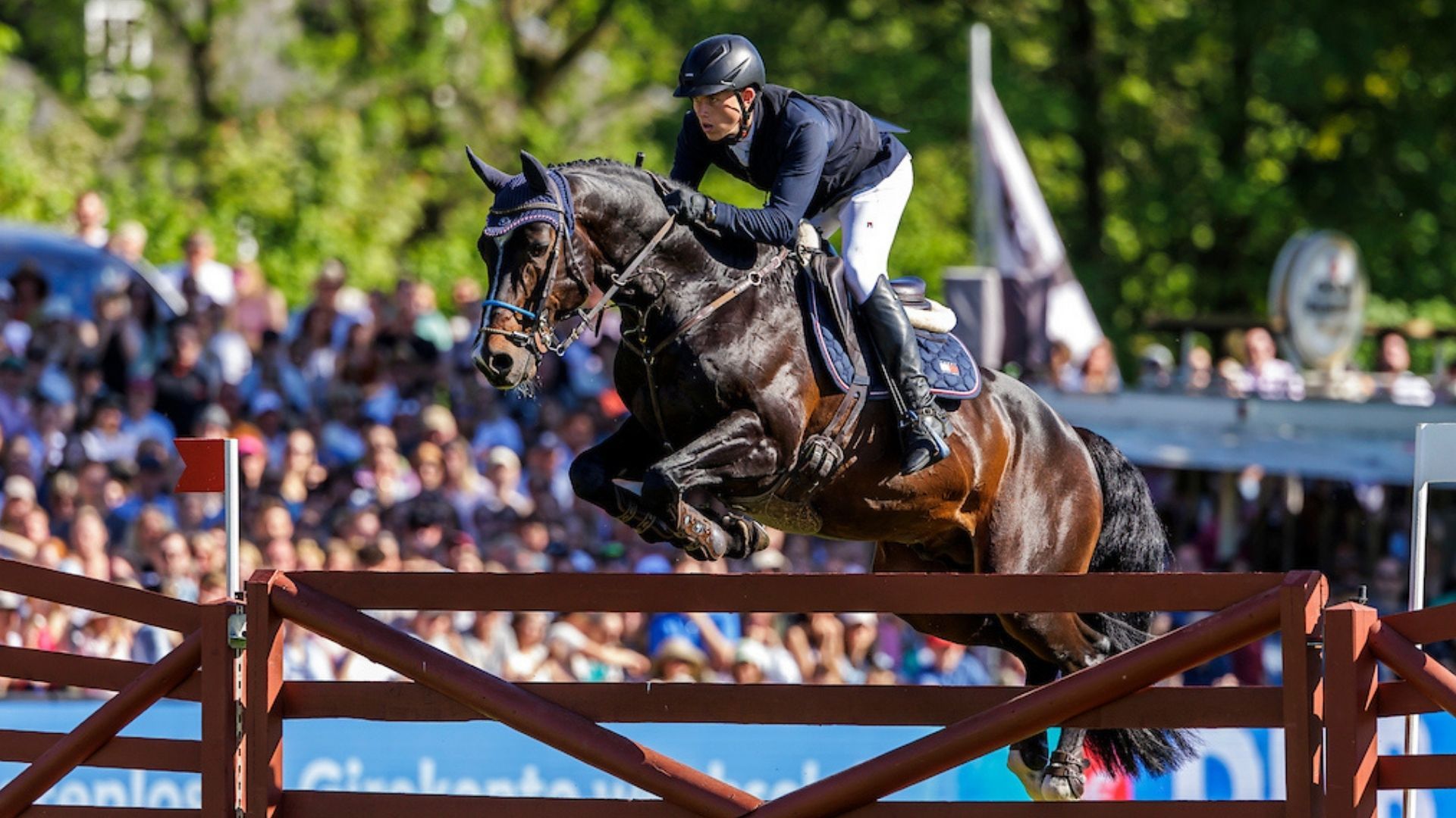 Sieg für Mathies Rüder beim CCI2*-S in Mechtersen