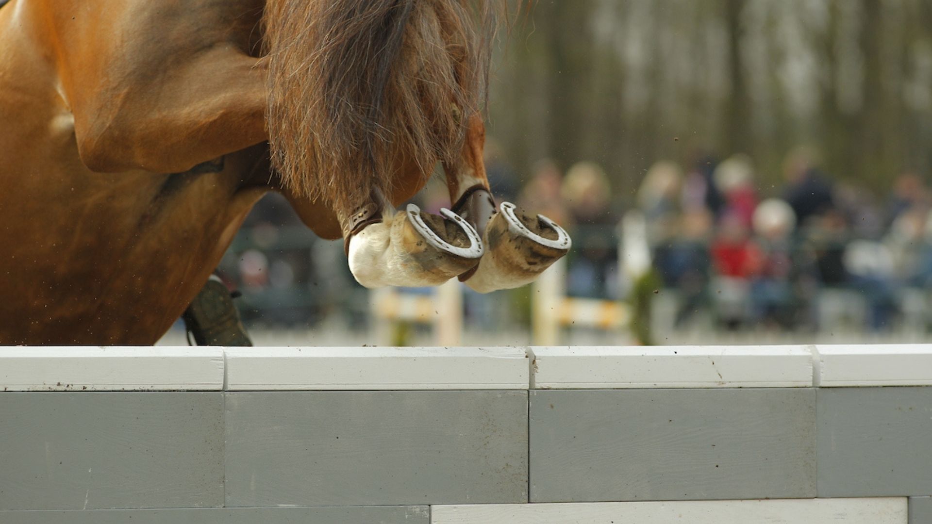 Deutsches Children-Team auf Gold-Kurs bei EM in Riesenbeck