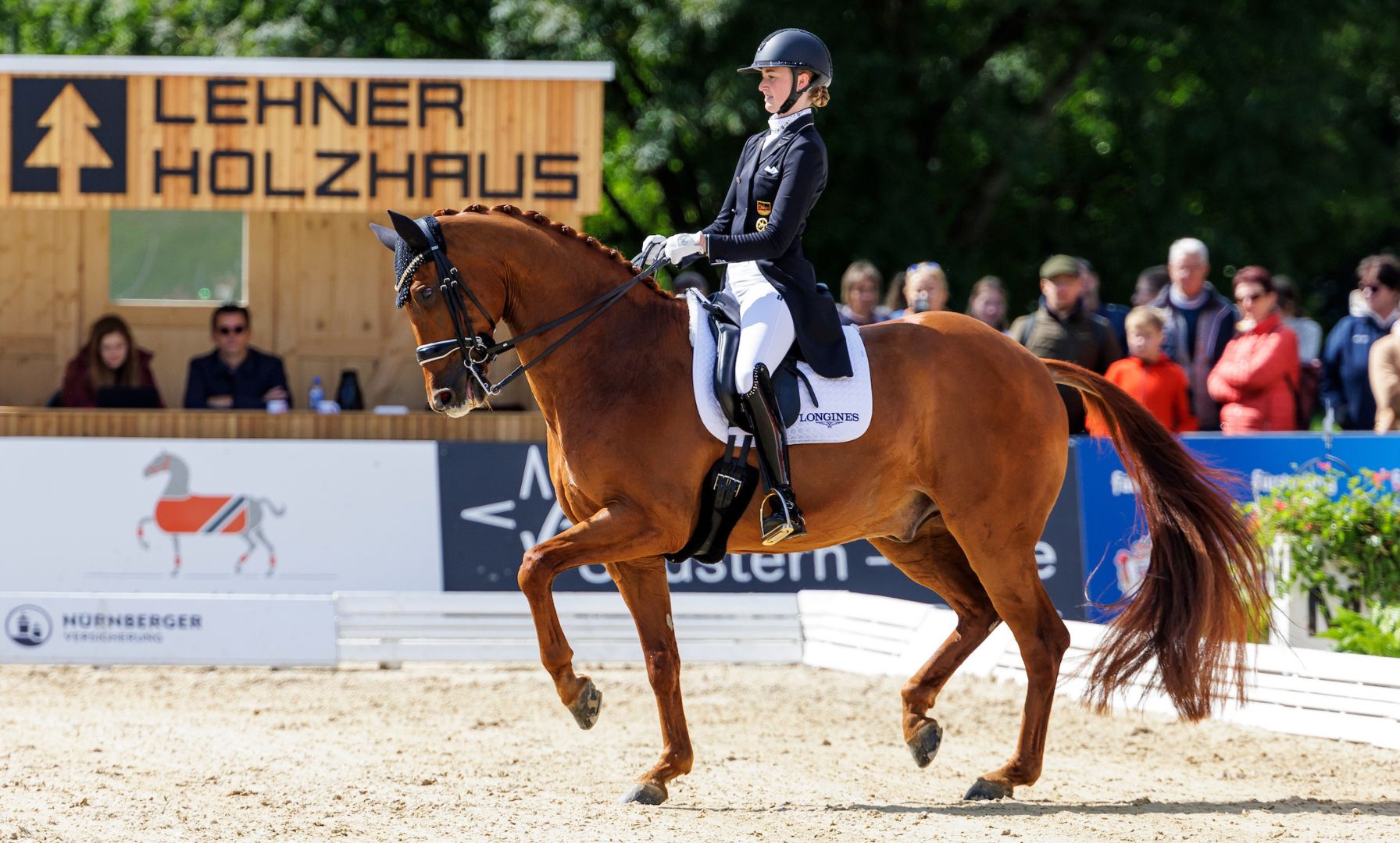 Rothenberger Wins Grand Prix at Horses & Dreams CDI3*