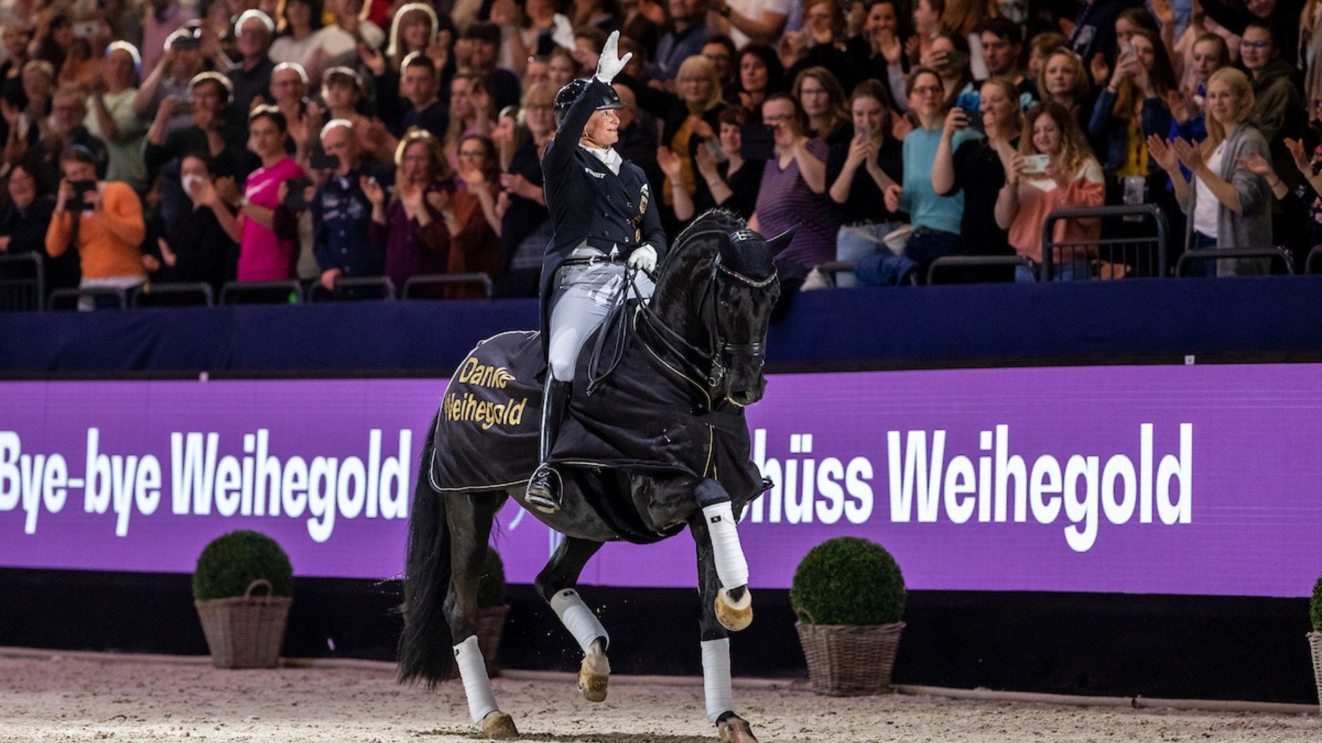 Weihnachtsspecial: Die „Weihegold OLD - Dynastie“