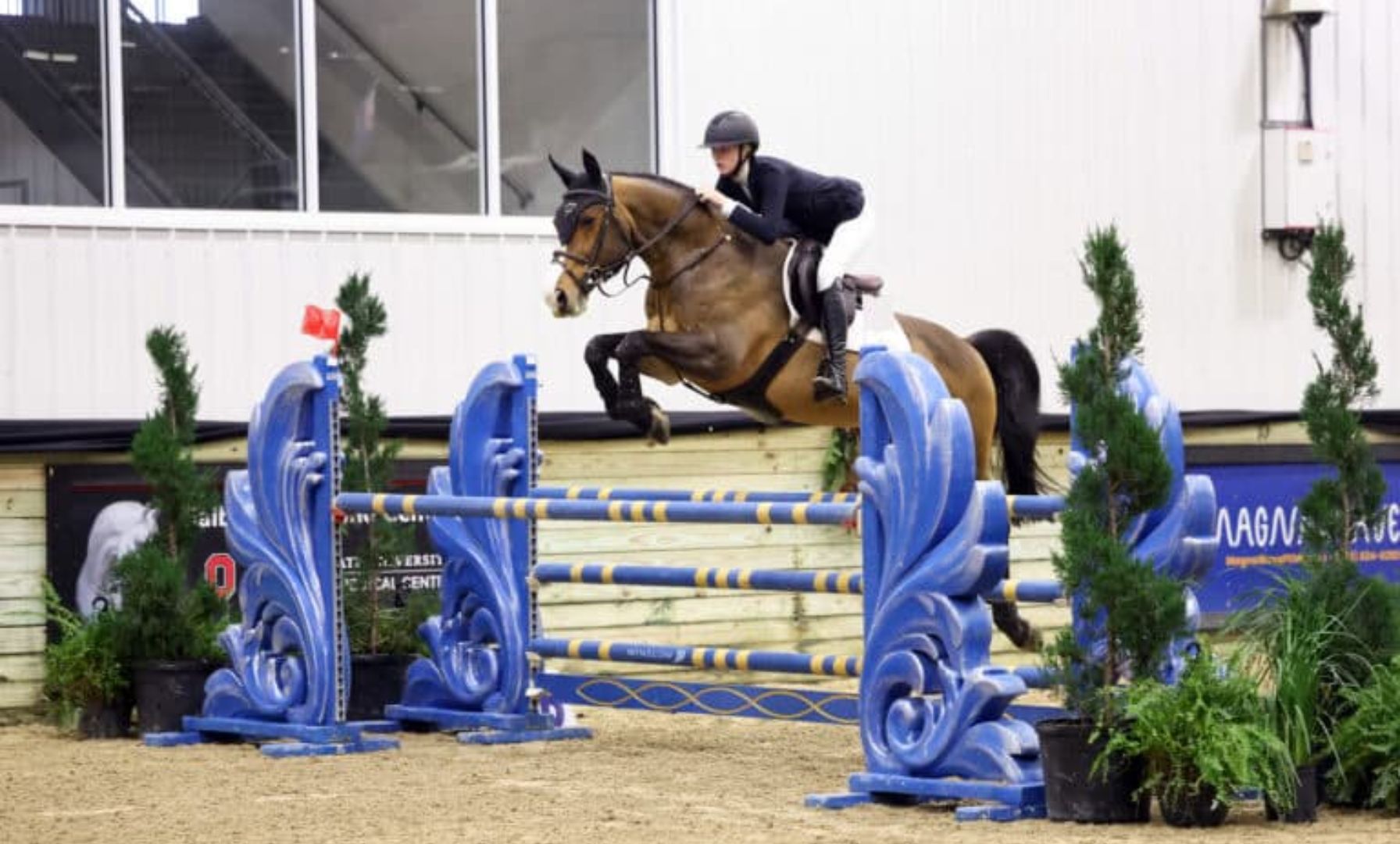 Grace Griffin & Larinto VDR Race to the Top in the $7,500 1.20m Jr/Am Mini Prix