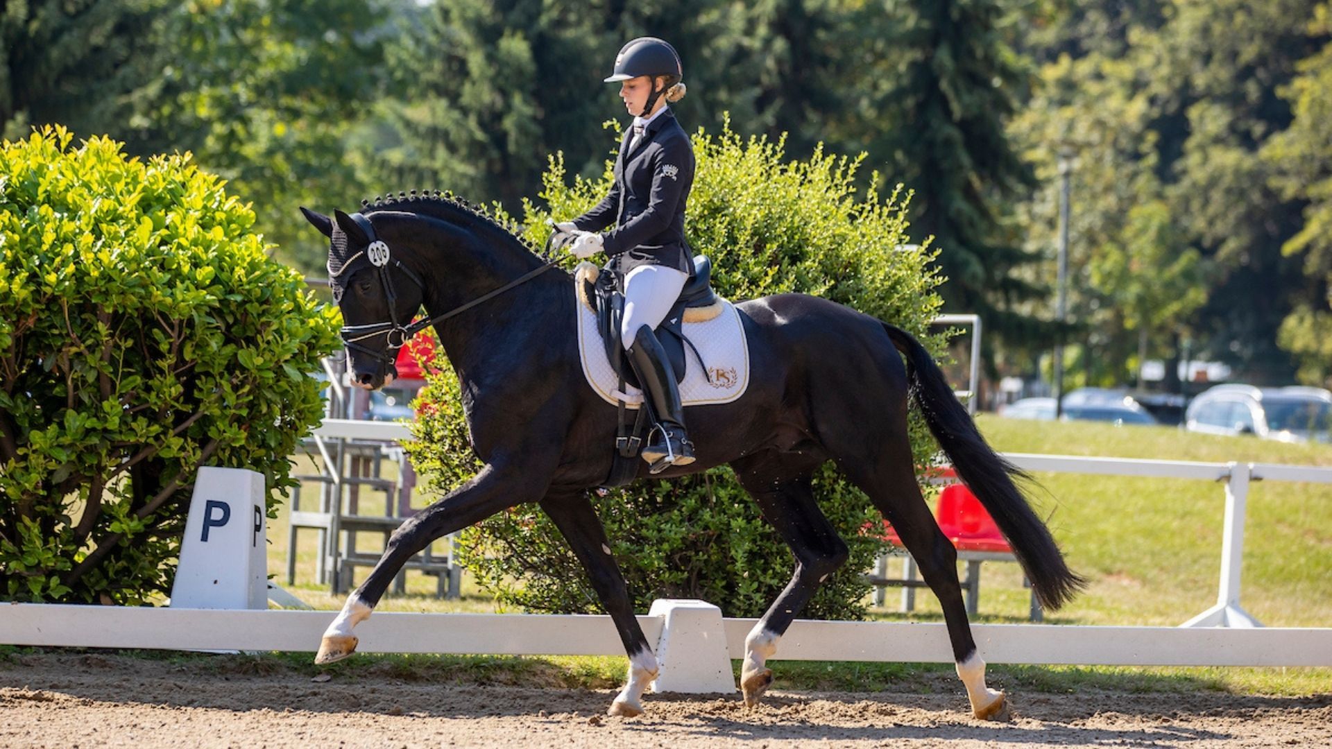 FS Bloomberg: Weiterentwicklung des Bundeschampionatsfinalist unter spanischer Flagge