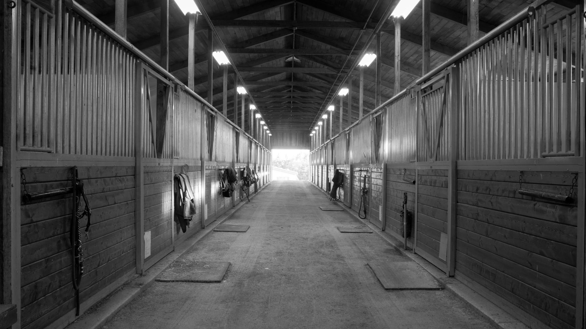 Tierschutzrelevante Vorfälle im Stallbereich - Sichtung zum Preis der Besten abgebrochen