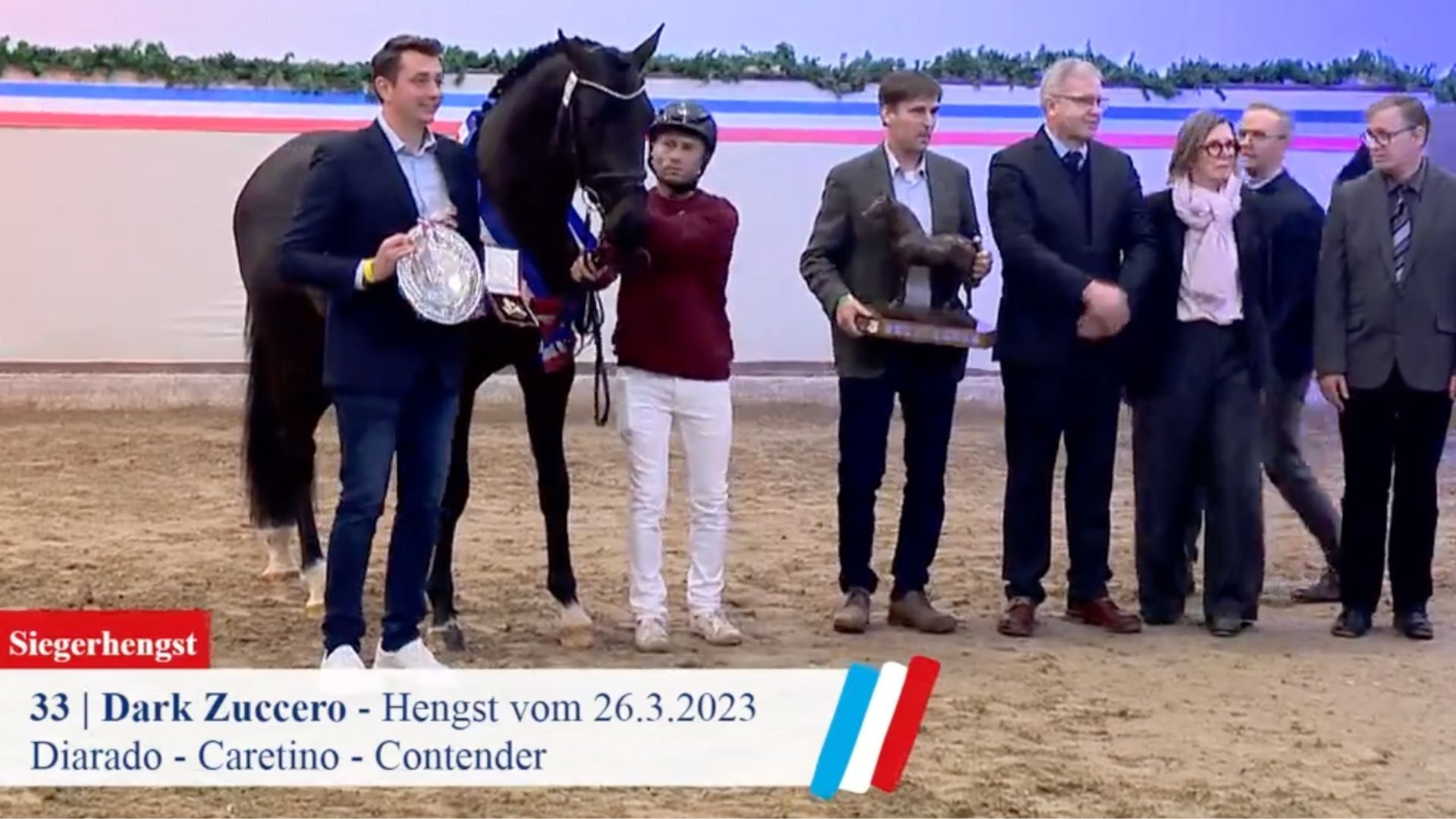 Dark Zucerro ist Siegerhengst der 55. Holsteiner Körung