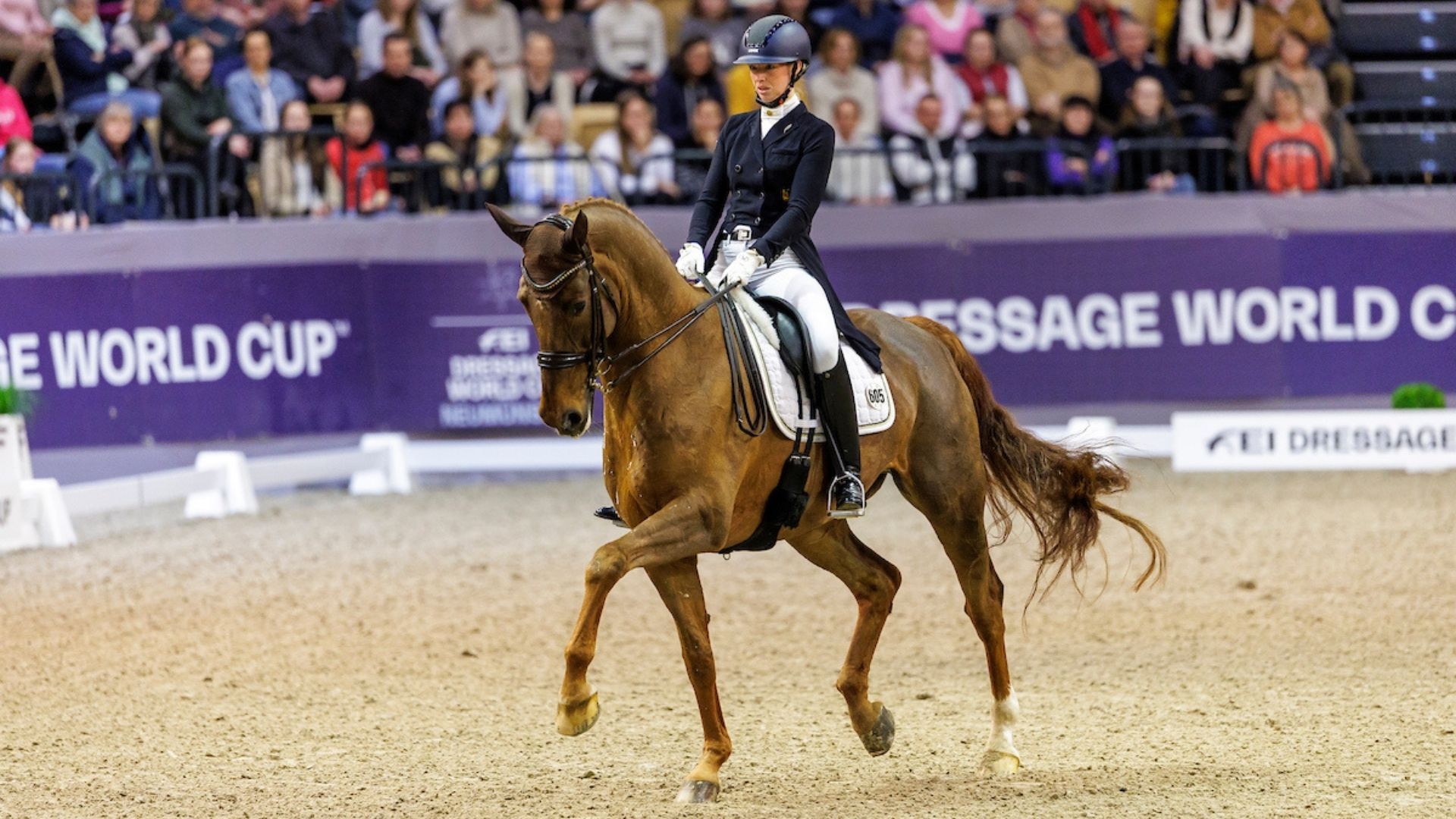 Fabienne Müller-Lütkemeier vor Dorothee Schneider im Grand Prix de Dressage in Ankum