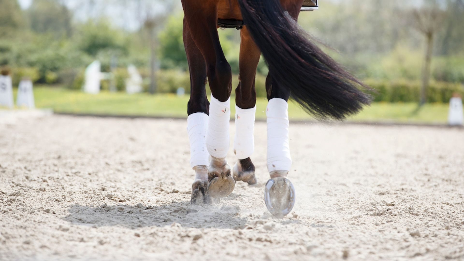 Tinne Vilhelmson Silfvén und So Perfect überzeugen