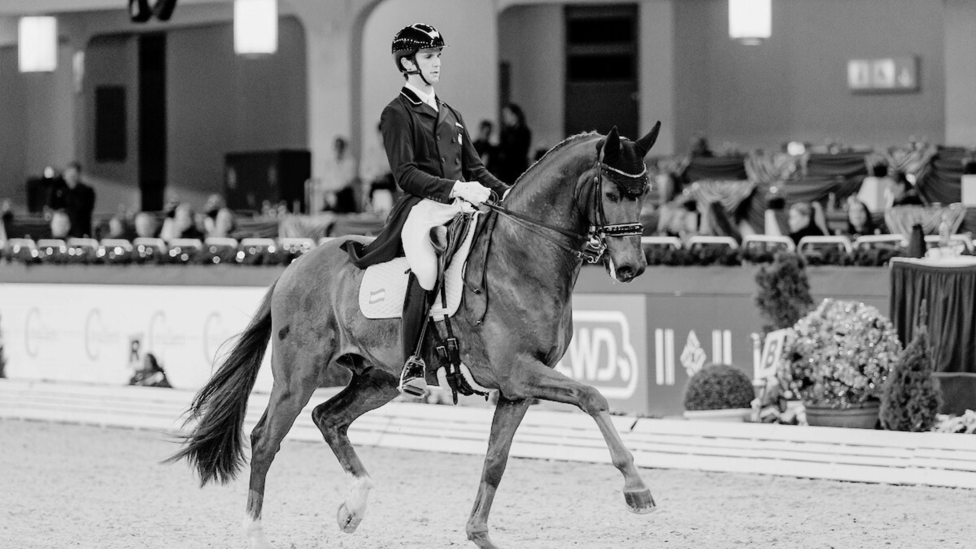 Juan Matute Guimóns Lexus verstirbt bei Autounfall nach Rückkehr vom CHIO Aachen